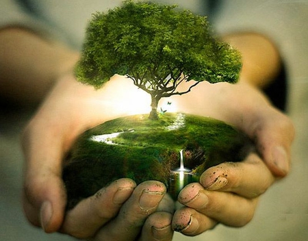 Growth and Nurturing